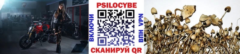 Псилоцибиновые грибы мухоморы мориарти клад Люберцы